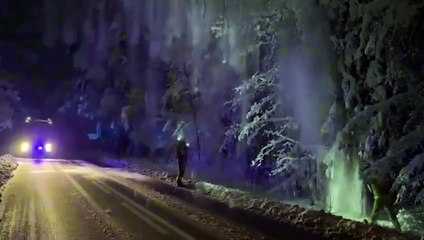 Ciężki śnieg łamie drzewa i konary. Strażacy interweniowali już ponad 20 razy