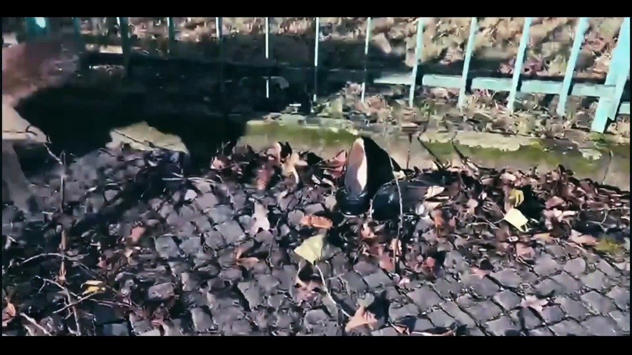 Jeder schreibt für sich allein - Trailer