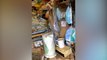 Inside ‘worst’ hoarder house where owner had piled up rubbish for 30 years