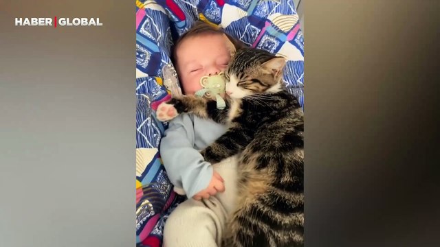 Evin bebeğini asla tek bırakmayan kedi viral oldu: ''Her anında yanında''