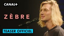 Paul Mirabel - Teaser Zèbre - CANAL+