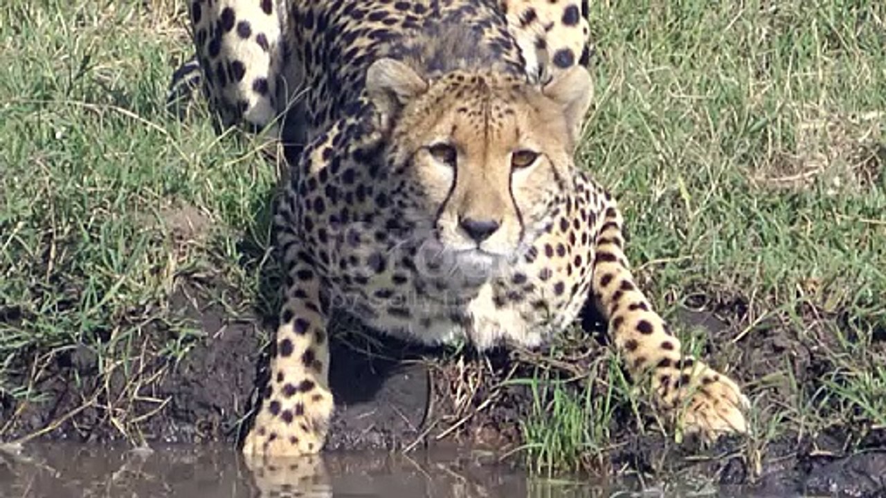 It seems like your request is quite general. If you have a specific question or if you're looking for information about a particular Facebook page, please provide more details, such as the name of the page or the topic it covers. Additionally, keep in min