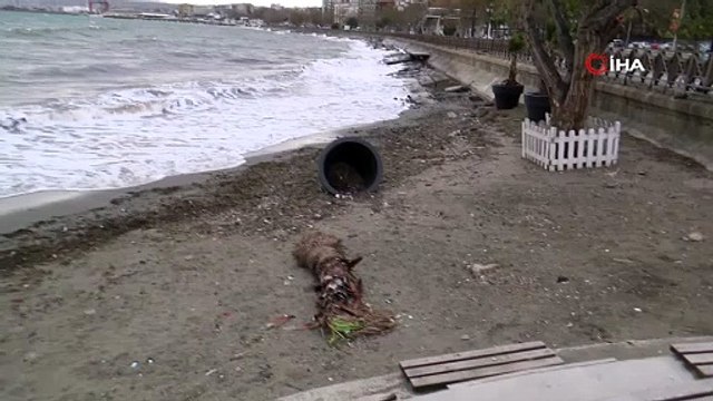 Şiddetli lodos: Deniz çalkalanıyor, tekneler dans ediyor