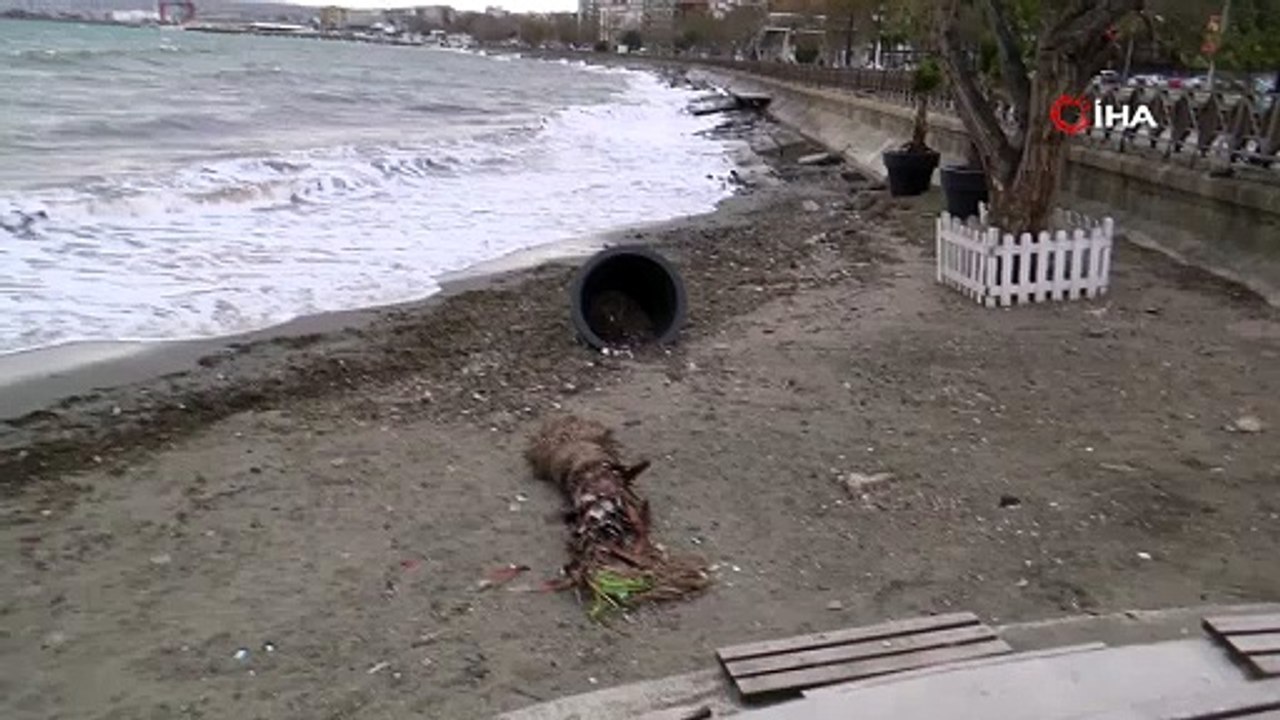 Şiddetli lodos: Deniz çalkalanıyor, tekneler dans ediyor