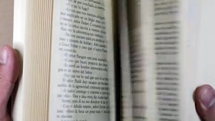 L'Avvocato Pitorri Roma Clip Parere