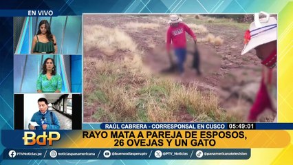 Tragedia en Cusco: rayo mata a pareja de esposos, a sus 26 ovejas y a su gatito