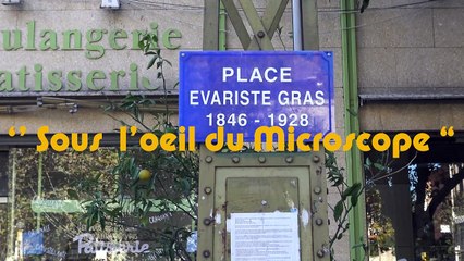 Sous l'oeil du microscope