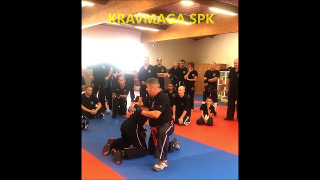 SELF PRO KRAV - WORLD KRAV MAGA ORGANIZATION - MASTER LEVINET