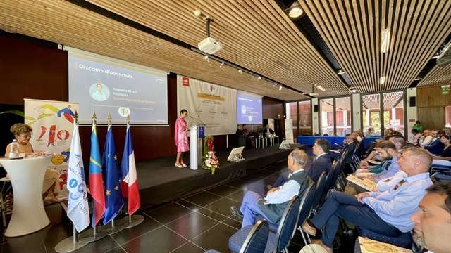 Apporter l'éclairage sur le développement de La Réunion