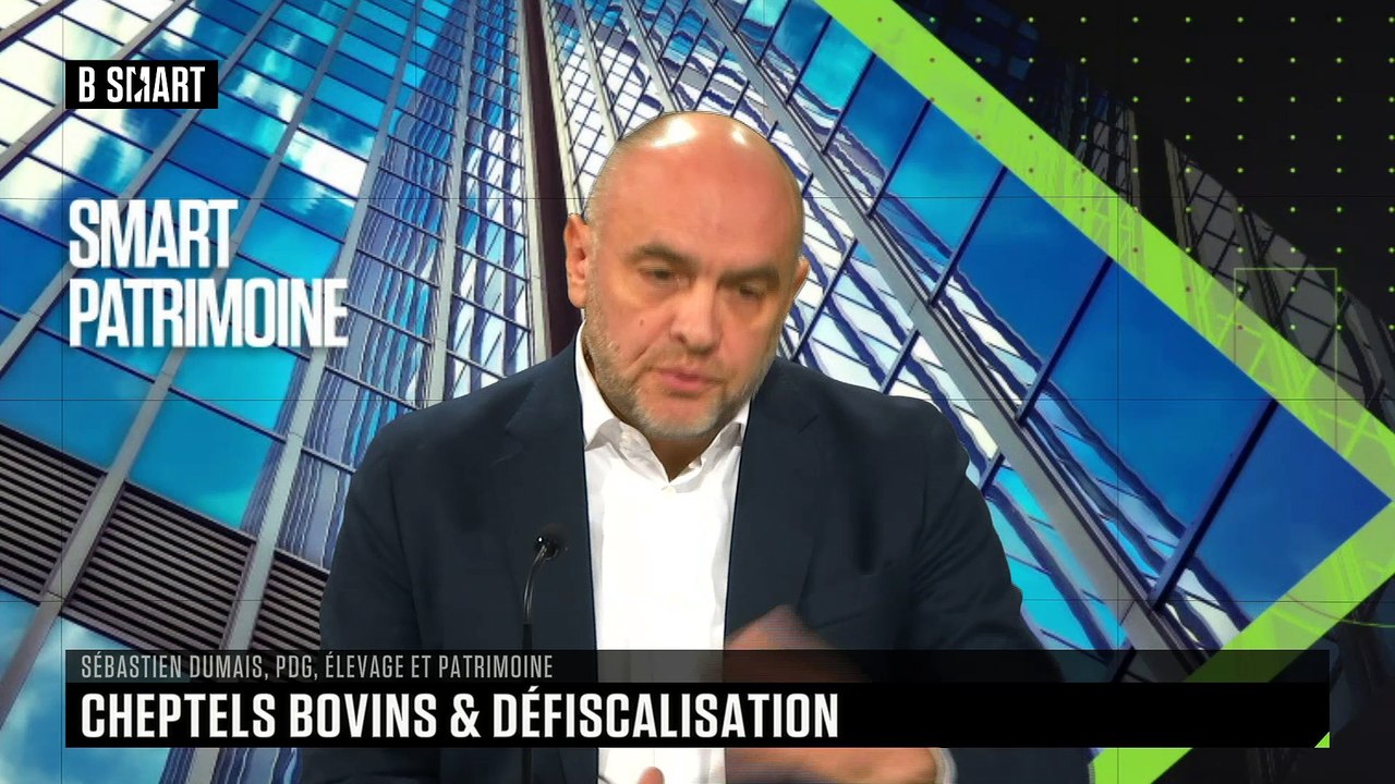 SMART PATRIMOINE - Une nouvelle mesure de défiscalisation pour les éleveurs bovins