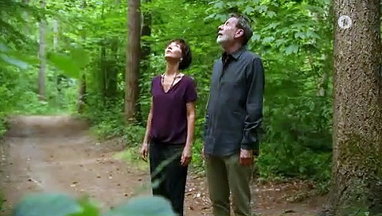 Rote rosen 3880 spontane begleitung