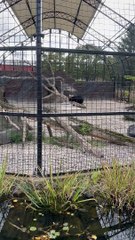 Zoológico en Pensilvania
