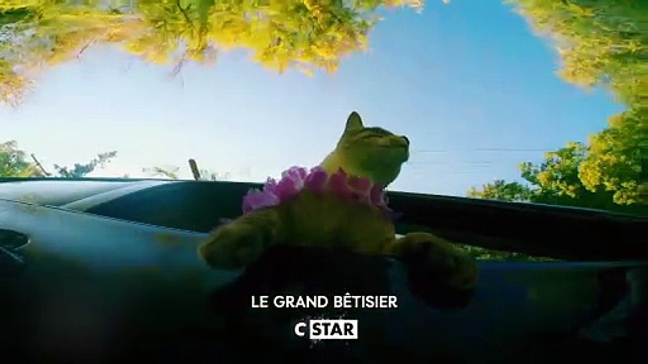 Le grand bêtisier - 1er décembre