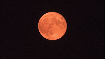 Winter solstice, full moon, shooting stars - Here are all the major astronomical events in December