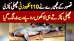 Kasur Ke Fisherman Ne Satluj River Se 110 KG Heavy Fish Pakar Li - Laakhon Rupees Rate Lag Gaya