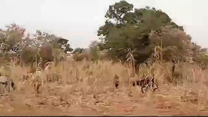 road trip africa, au coeur de la culture burkinabé