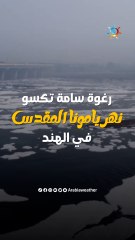 شاهد | رغوة سامة تكسو نهر يامونا المقدس في الهند!