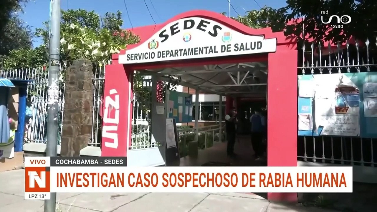 "Fue mordida por un gato": Caso sospechoso de rabia humana es ‘importado’