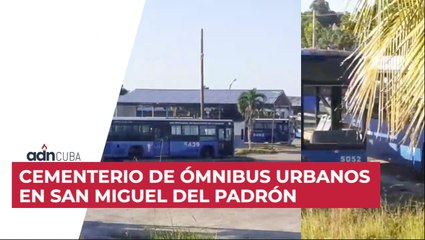 Cementerio de ómnibus urbanos en San Miguel del Padrón