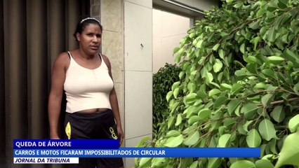 Queda de árvore deixa carros e motos impossibilitados de circular