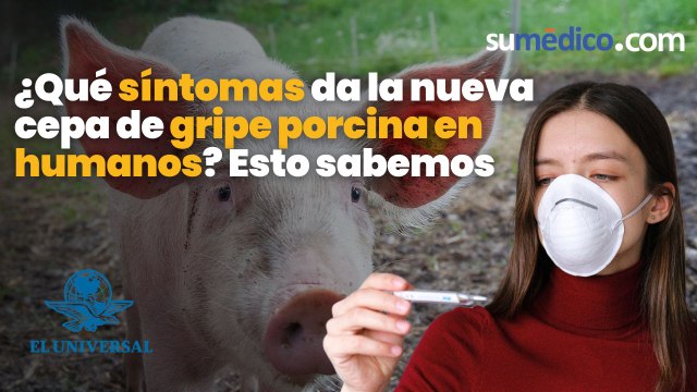 ¿Qué síntomas da la nueva cepa de gripe porcina en humanos? Esto sabemos