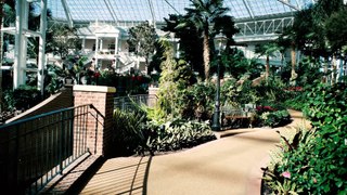 Tour of the Botanical Gardens & Atriums inside the Gaylord Opryland Resort (Nashville, TN) - 4K VLOG