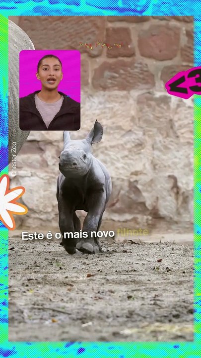 Zoo comemora nascimento de rinoceronte ameaçado de extinção