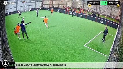 But de Marin D'henry Simonnot - Anscotie 94