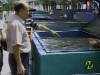 Camaguey te coje la corriente By BurronAzul.net