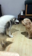 Gian Piero Rovagnati 1