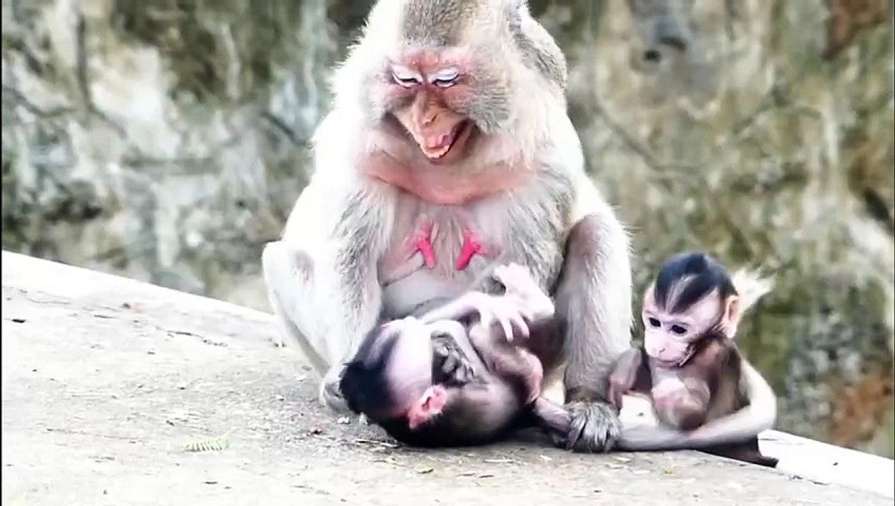 Heart Sad, Old mama Arina mistreat baby, till open with mouth (720p_25fps_H264-192kbit_AAC)