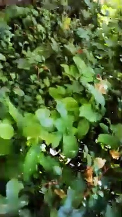 20190716 Outdoor, wo willst du hin