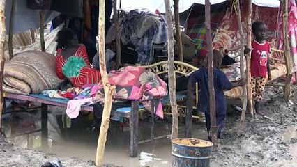 Mais de 27 milhões de crianças passaram fome por secas e inundações em 2022, diz ONG