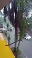 Veja como ficou a Capital Catarinense com as chuvas