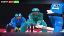 10 Worst Umpire Decisions In Cricket Ever