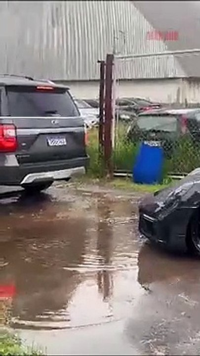 Quadrilha ostentava vida de luxo em BC através de golpes financeiros e lavagem de dinheiro