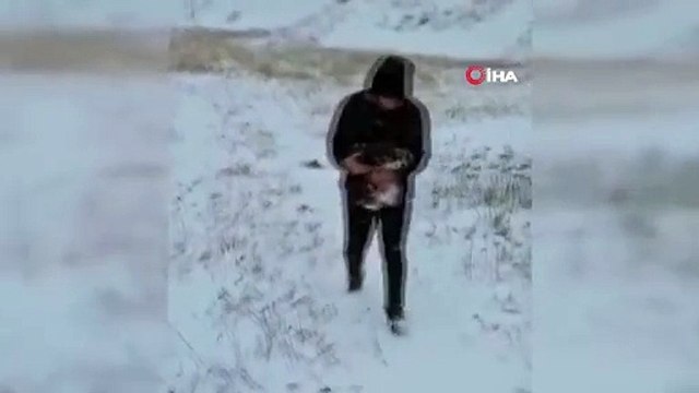 Ardahan'da donmak üzere olan yavru köpekler kurtarıldı