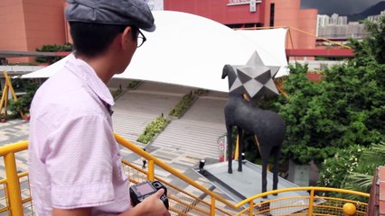 Canon 24-70mm f/2.8L vs 24-105mm f/4L vs Nikon 24-70mm f/2.8 G