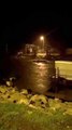 Edremit'te Lodos Fırtınası Tekneleri Açık Denize Sürükledi