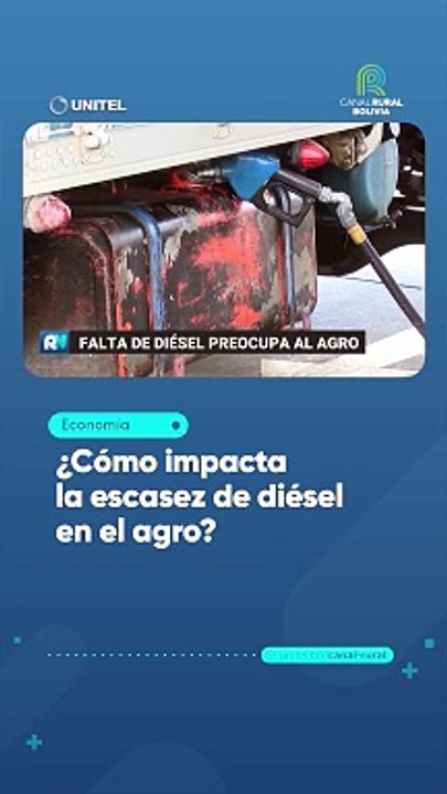 ¿Cómo impacta la escasez de diésel en el agro?