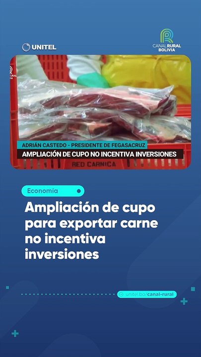 Ampliación de cupo para exportar carne no incentiva inversiones