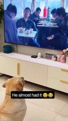 Innocent one will fall for this trap