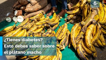 Descubre los beneficios de consumir plátano macho
