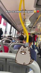 Chófer sorprende a pasajeros con póster gigante de su mascota: "Michi vigilante"