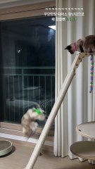 Not just Girls are scared of this