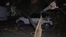 Ağaç ve elektrik direği araçların üzerine devrildi, 2 araç hasar aldı