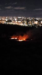Incêndio é registrado no Parque do Cocó em Fortaleza, no Ceará