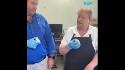 Is it a party pie or a nibble pie?