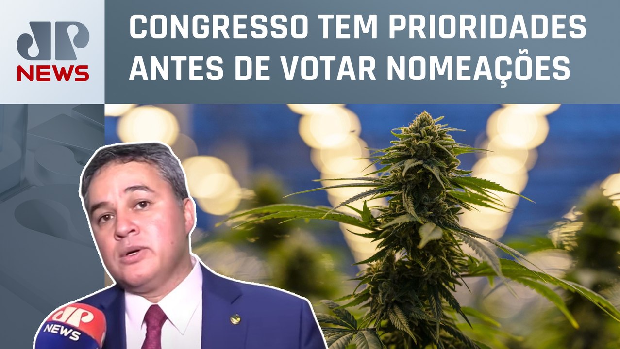Relator da PEC das Drogas fala à JP: “Brasil não está preparado para descriminalizar posse”
