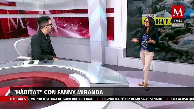 Actividad minera amenaza a los volcanes de la CdMx | Milenio Hábitat